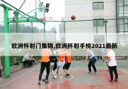 欧洲杯射门集锦,欧洲杯射手榜2021最新