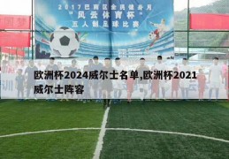 欧洲杯2024威尔士名单,欧洲杯2021威尔士阵容