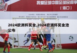 2024欧洲杯奖金,2024欧洲杯奖金池公布