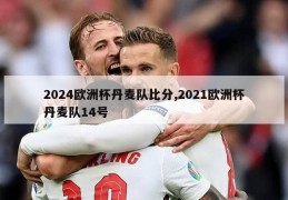 2024欧洲杯丹麦队比分,2021欧洲杯丹麦队14号