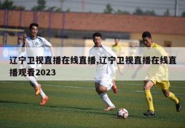 辽宁卫视直播在线直播,辽宁卫视直播在线直播观看2023