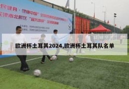 欧洲杯土耳其2024,欧洲杯土耳其队名单