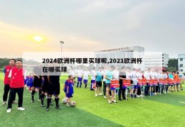 2024欧洲杯哪里买球呢,2021欧洲杯在哪买球