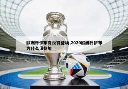 欧洲杯伊布有没有登场,2020欧洲杯伊布为什么没参加