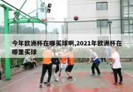 今年欧洲杯在哪买球啊,2021年欧洲杯在哪里买球