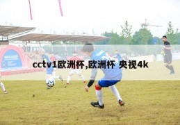 cctv1欧洲杯,欧洲杯 央视4k