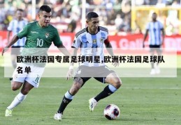 欧洲杯法国专属足球明星,欧洲杯法国足球队名单