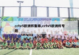 cctv5欧洲杯集锦,cctv5欧洲杯专题