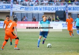 高晓松欧洲杯,高晓松谈世界杯