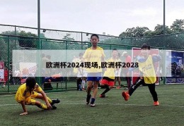 欧洲杯2024现场,欧洲杯2028