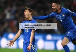 欧洲杯2024附加赛冠军,2021欧洲杯预选赛附加赛