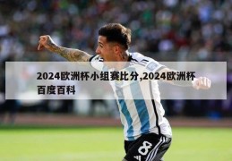 2024欧洲杯小组赛比分,2024欧洲杯百度百科