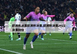 欧洲杯决赛欧洲杯决赛,欧洲杯决赛2021决赛回放