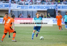 2024欧洲杯意大利,欧洲国家杯2024