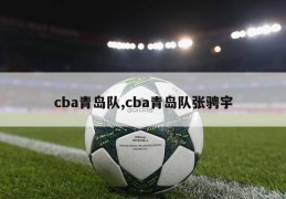 cba青岛队,cba青岛队张骋宇