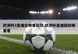 欧洲杯2直播在哪看回放,欧洲杯直播回放哪里看