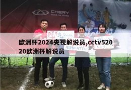 欧洲杯2024央视解说员,cctv52020欧洲杯解说员