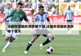 法国和德国欧洲杯哪个强,法国和德国欧洲杯哪个强大